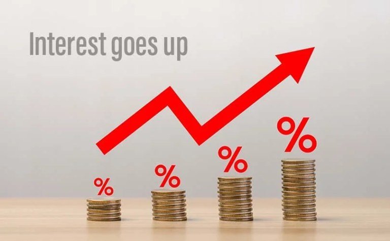 The dark side of buy now pay later schemes